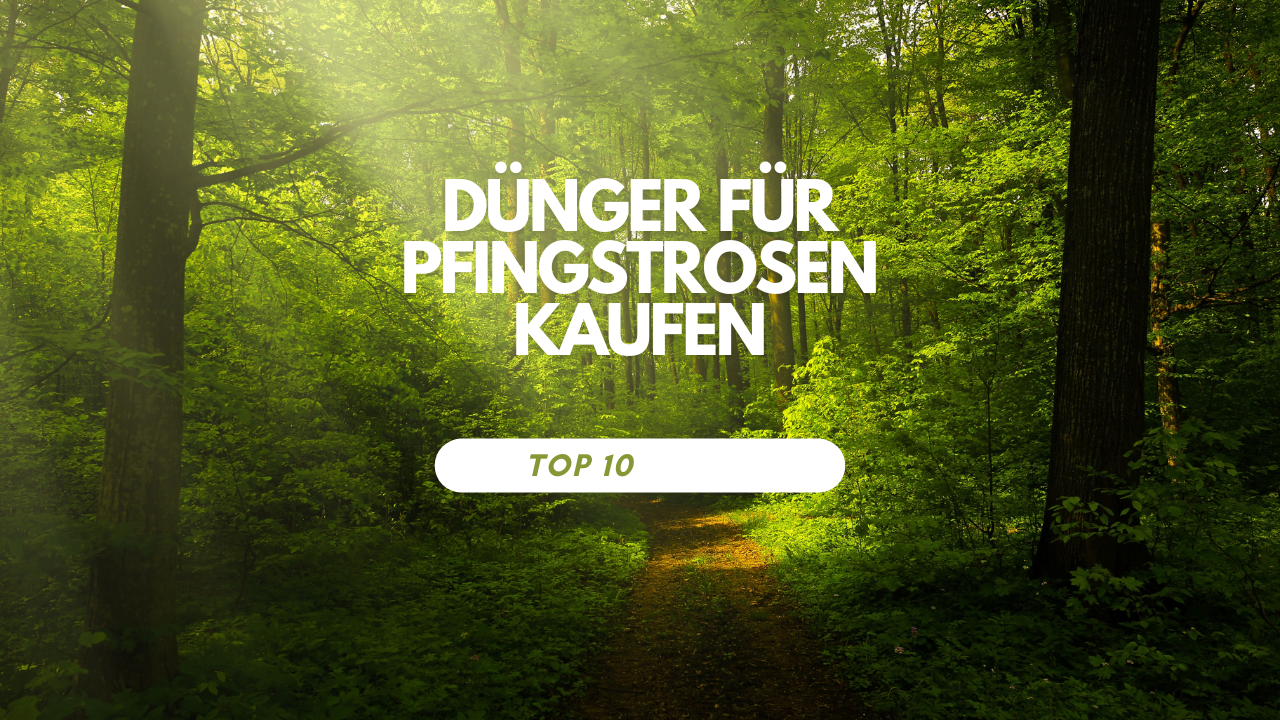 Dünger für Pfingstrosen kaufen