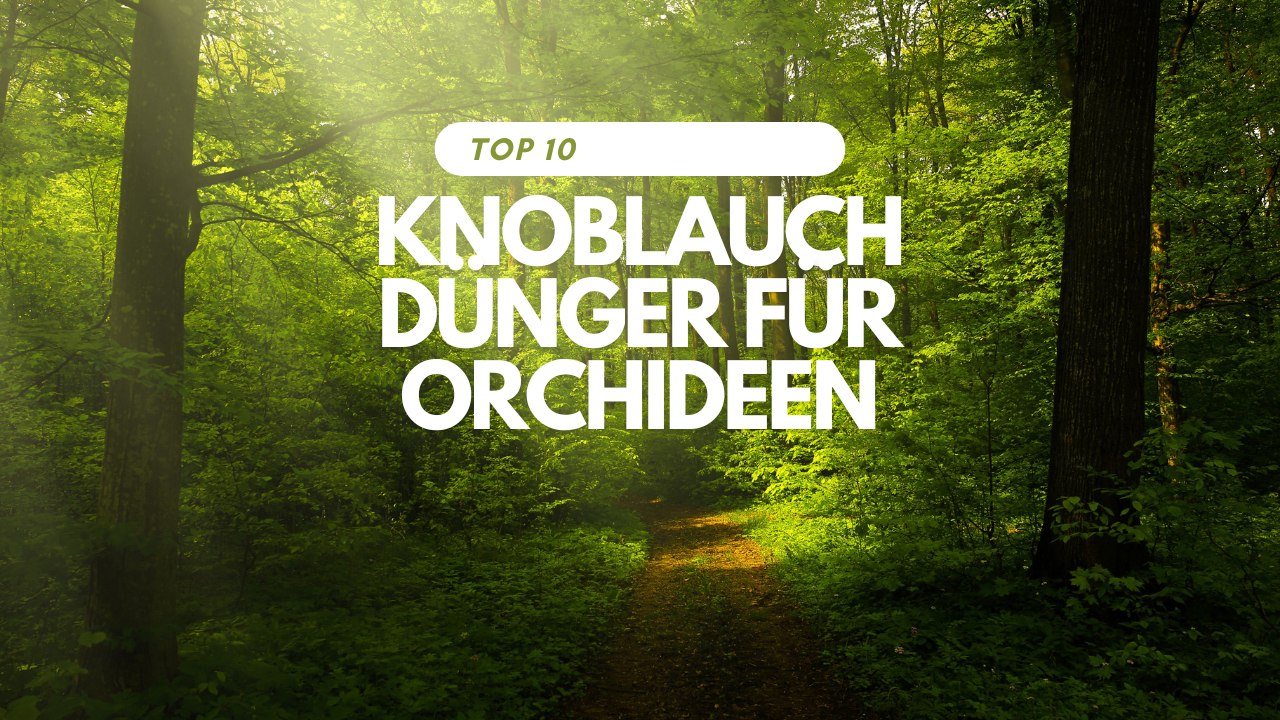 Knoblauch Dünger für Orchideen