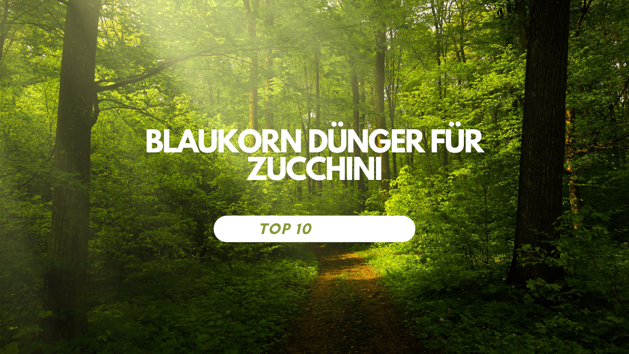 Blaukorn Dünger für Zucchini