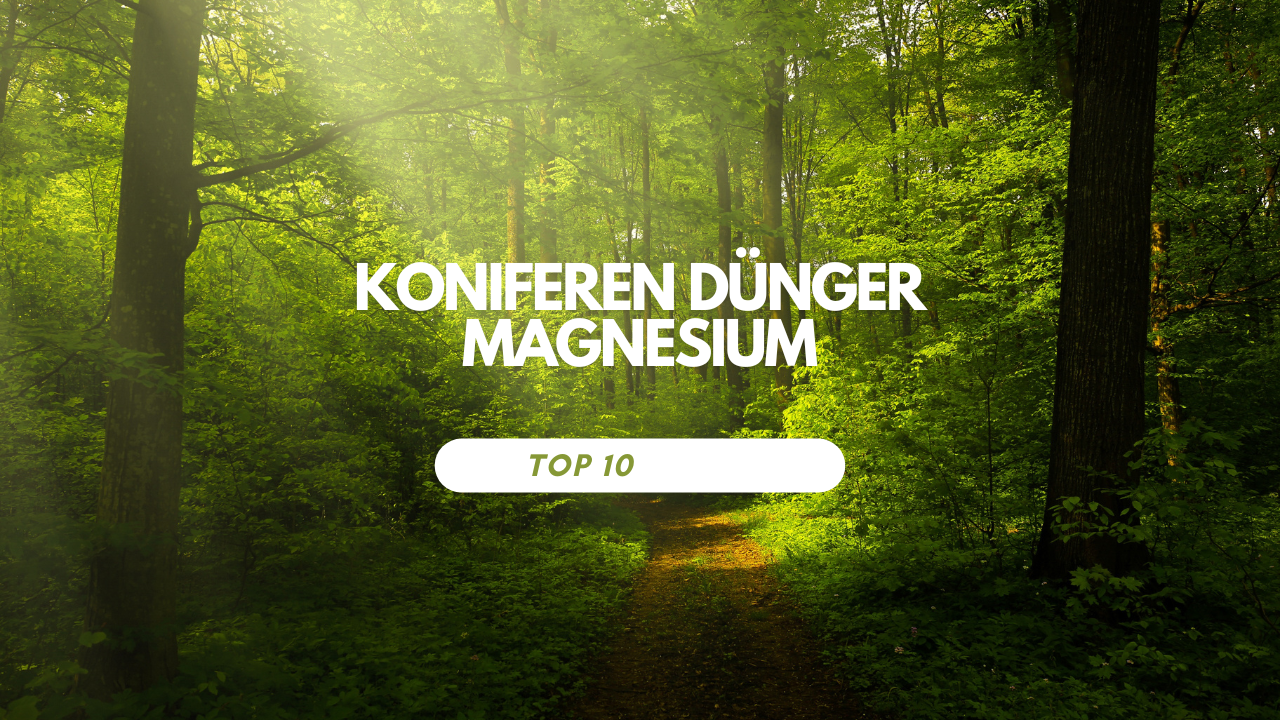 Koniferen Dünger Magnesium