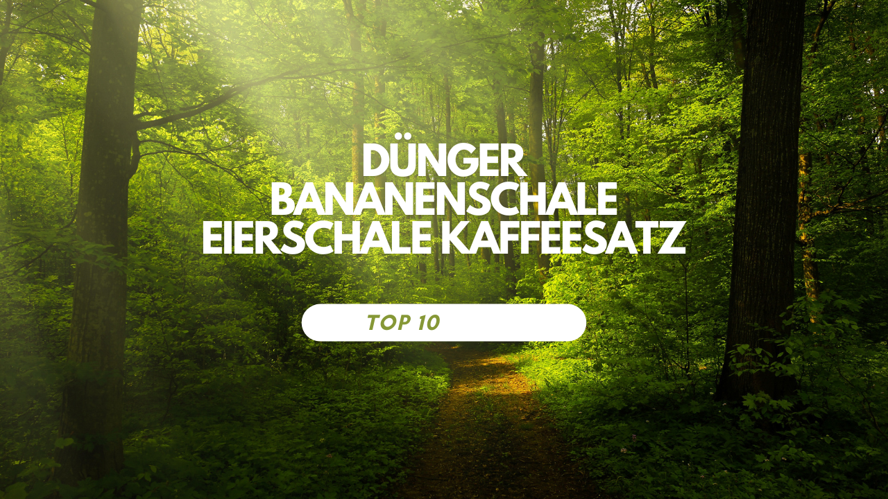 Dünger Bananenschale Eierschale Kaffeesatz