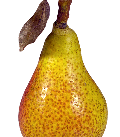 Heidelbeeren Und Himbeeren Zusammen Pflanzen – Heidelbeeren und Himbeeren gemeinsam im Garten anpflanzen – Tipps und Tricks