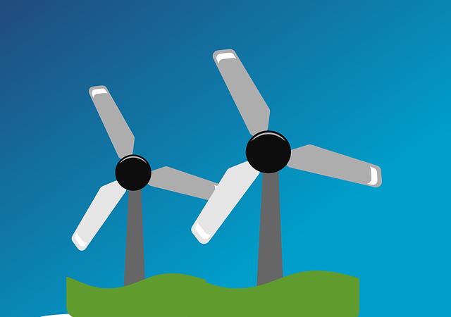 Ingwer Keimt Noch Essbar – Ingwer-Sprossen: Noch genießbar trotz Keimung