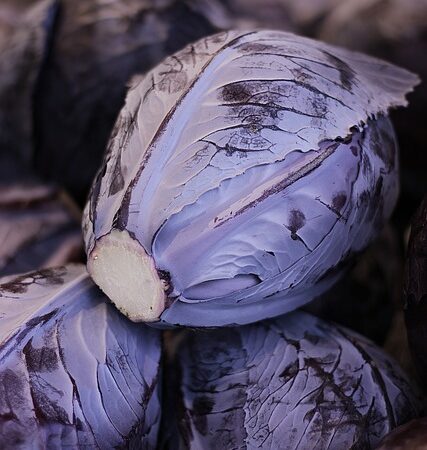 Wann Blumenkohl Pflanzen – Blumenkohl richtig anbauen: Die optimale Zeit für das Pflanzen