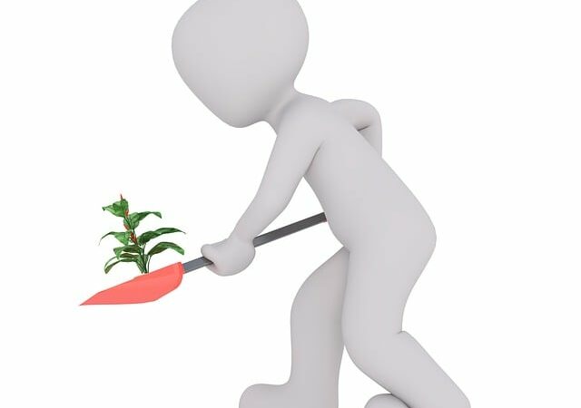 Was Gegen Ameisen Im Garten – Effektive Maßnahmen gegen Ameisen im Garten: Tipps und Tricks