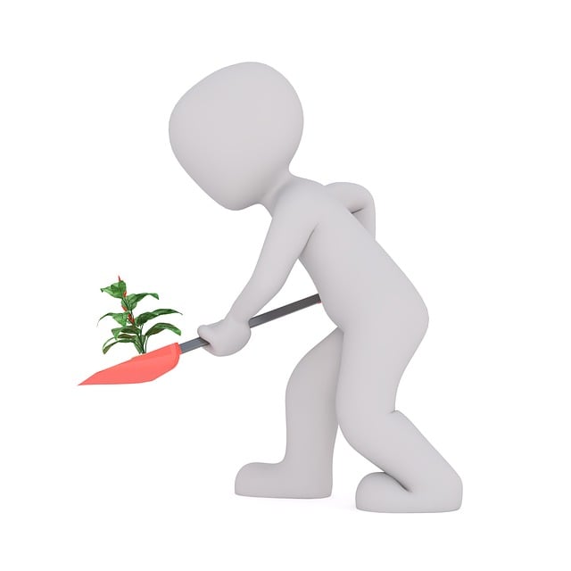 Was Gegen Ameisen Im Garten – Effektive Maßnahmen gegen Ameisen im Garten: Tipps und Tricks