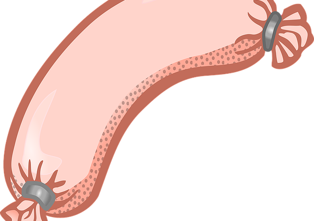 Grünkohl Ernten Und Zubereiten – Vom Feld auf den Teller: Tipps zum Ernten und Zubereiten von Grünkohl