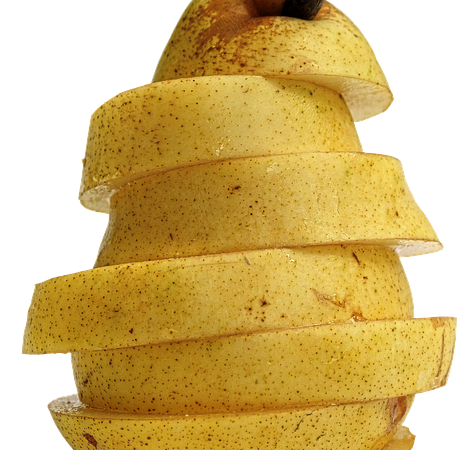 Apfelbaum Pflanzen Wann – Wann ist die beste Zeit, um einen Apfelbaum zu pflanzen?